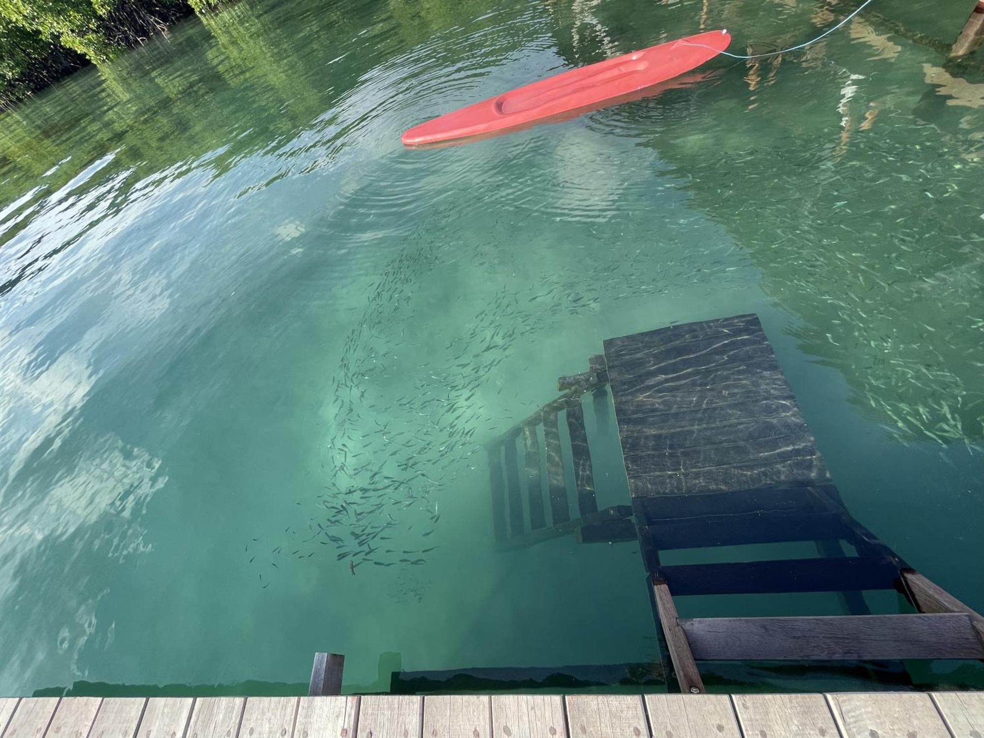 Floating Paradise Karimunjawa-Inseln Exterior foto